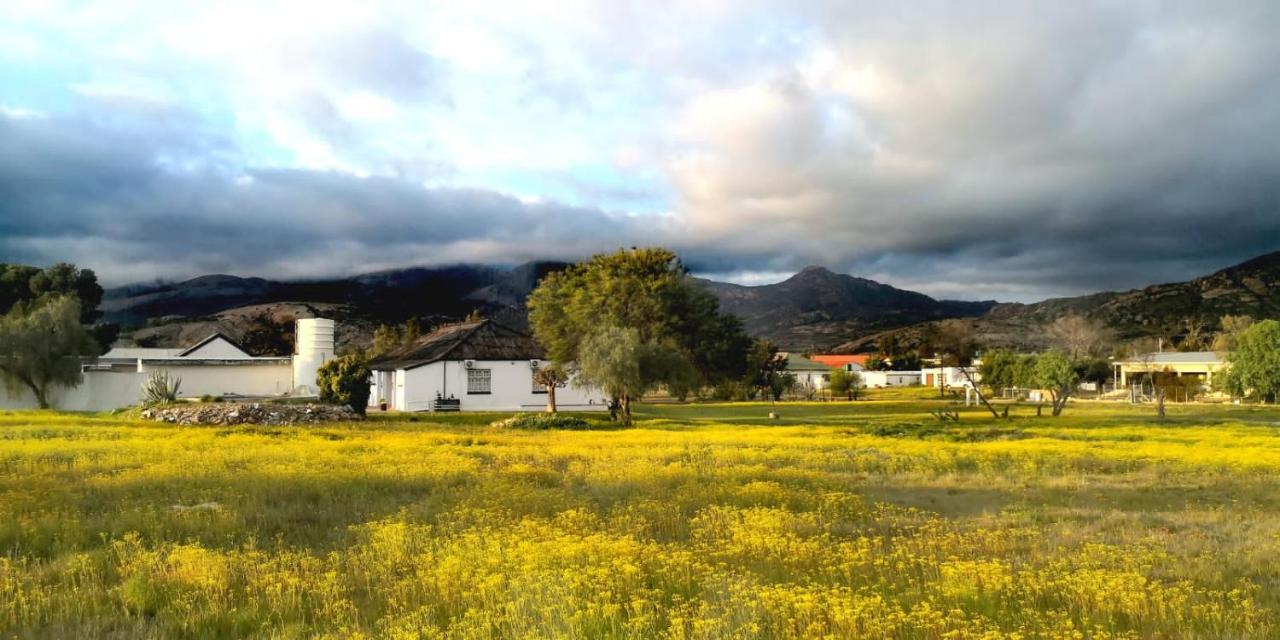 Kamieskroon Harry'S Place Guesthouse מראה חיצוני תמונה